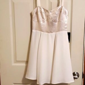 NWT Express Babydoll Dress